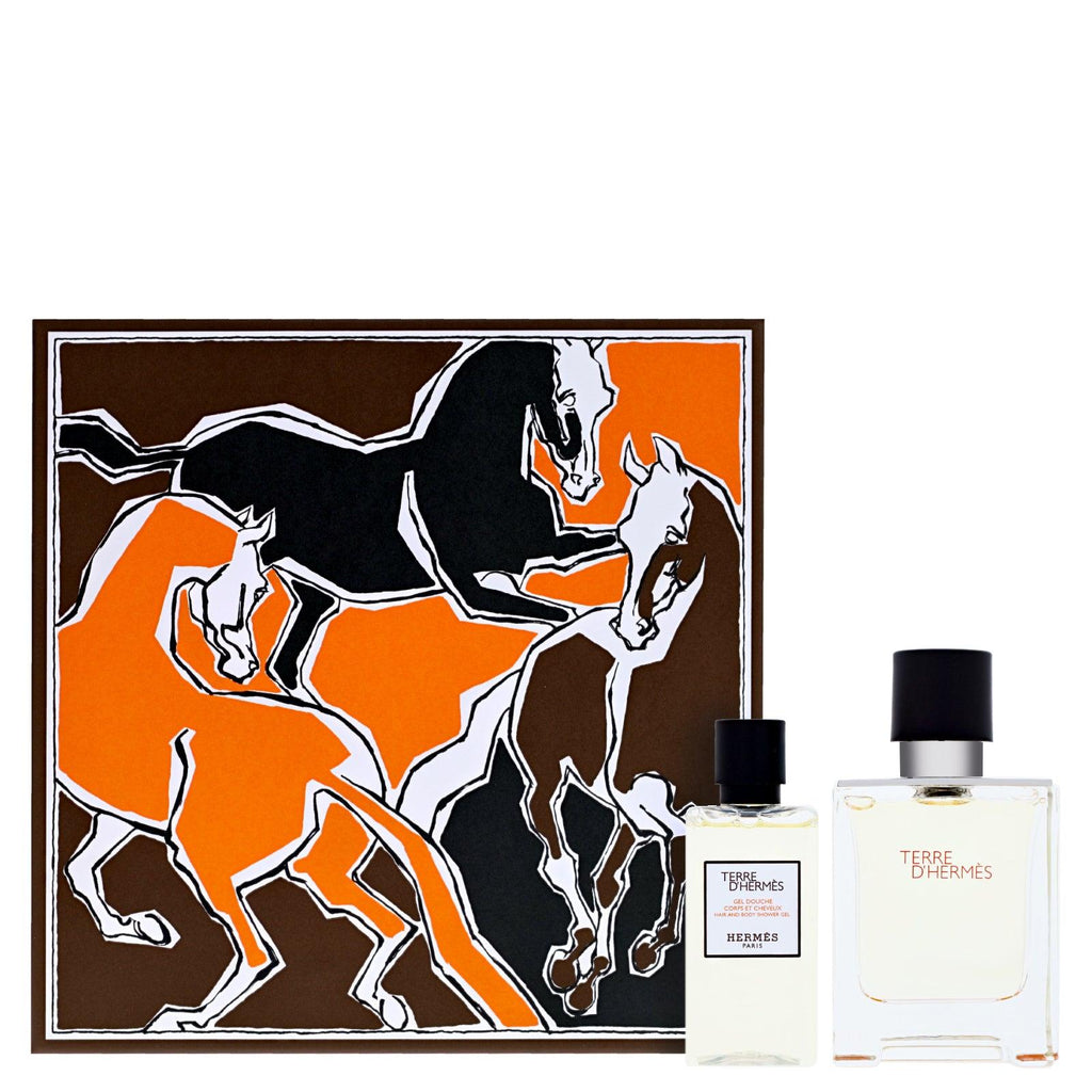 Terre d'Hermes EDT Gift Set for Men 50ml EDT + 40ml Shower Gel - Perfume Oasis